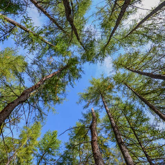 camping pas cher barcelonnette