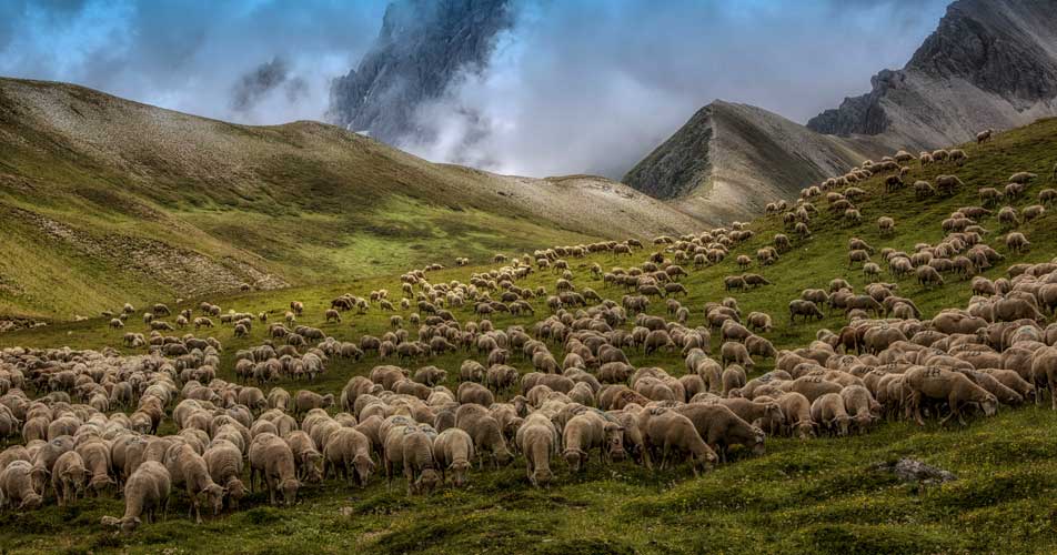 camping vallée ubaye mercantour